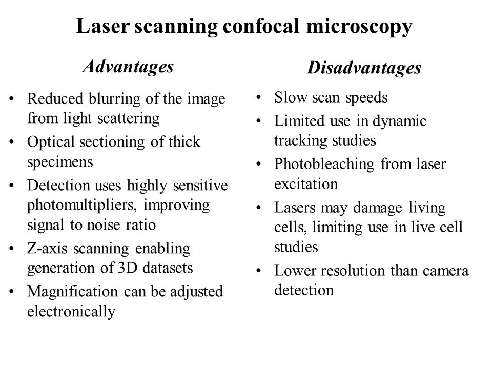 What are disadvantages of light microscopes?
